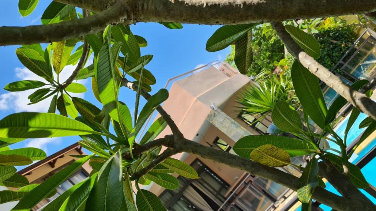 Villa Centre Grand Baie Exteriör bild